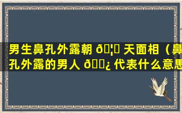 男生鼻孔外露朝 🦁 天面相（鼻孔外露的男人 🌿 代表什么意思）